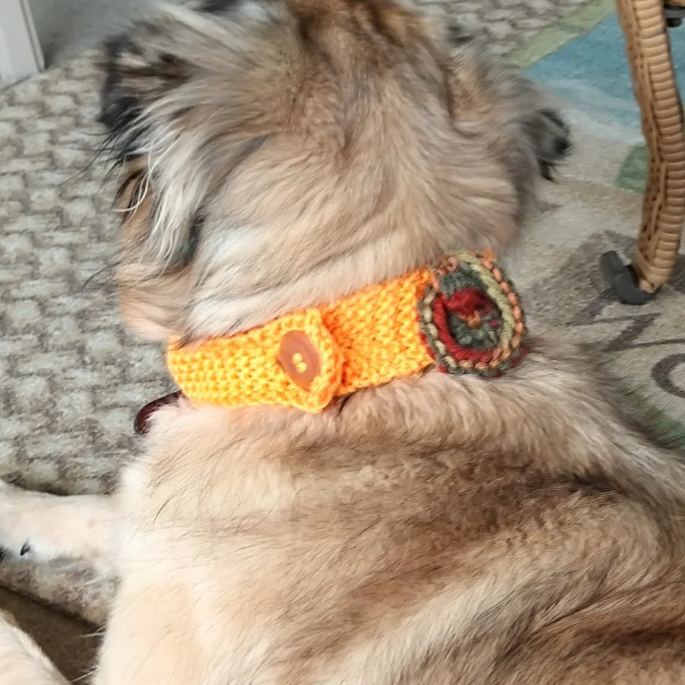 Pet Dog Collar Covers Fall Orange Brown Floral